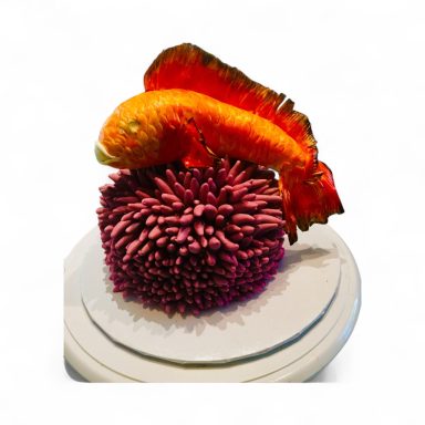 Bright orange fish atop a purple anemone-like coral structure.