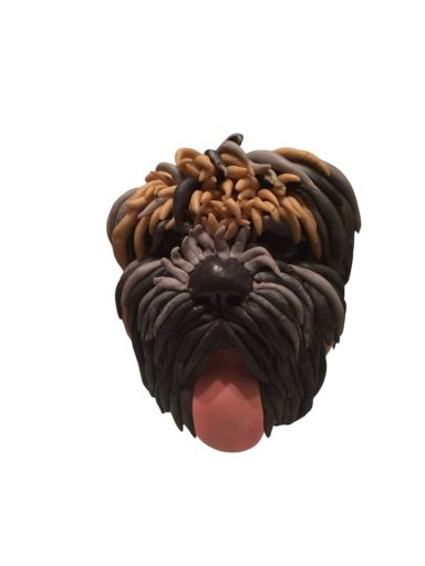 Chocolate-colored dog with fluffy fur and a pink tongue sticking out.
